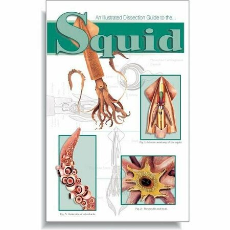 FREY SCIENTIFIC Mini-Guide to Squid Dissection, Paperback, 16 Pages 420.4034.1